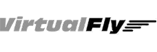 VirtualFly