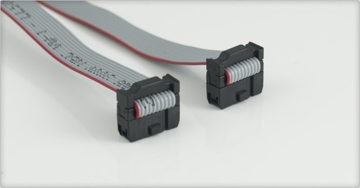 [4C2] 2 x IDC Cable 10p